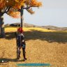 Palworld Minimap